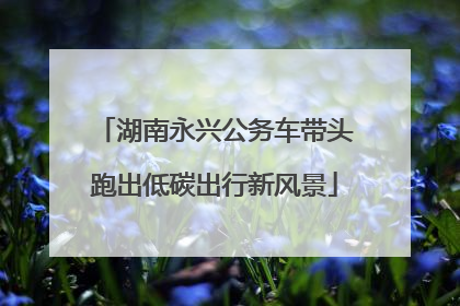 湖南永兴公务车带头跑出低碳出行新风景
